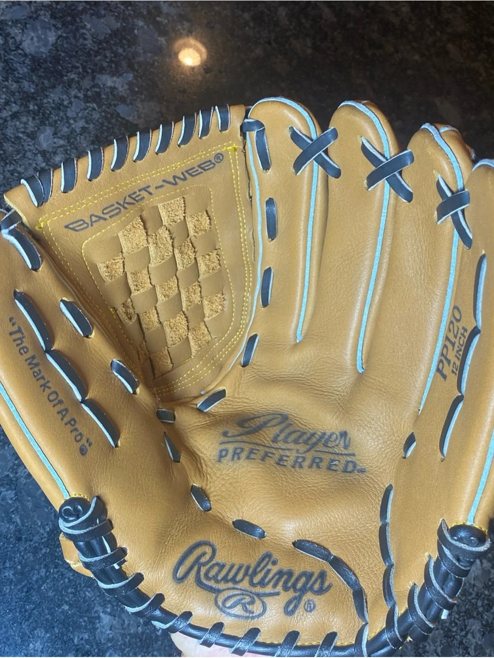 Rawlings PP120 Player Preferred Series 12
